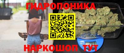 гашик Малоярославец