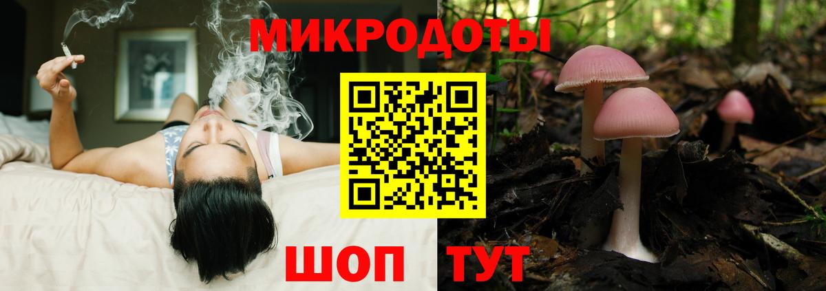 Всеволожск  Псилоцибиновые грибы Psilocybine cubensis  Вход с VPN 
